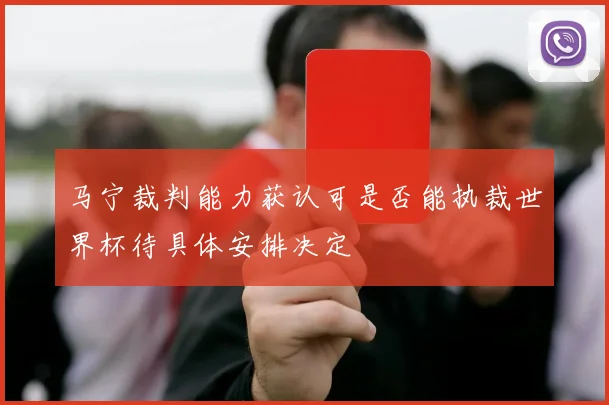 马宁裁判能力获认可是否能执裁世界杯待具体安排决定