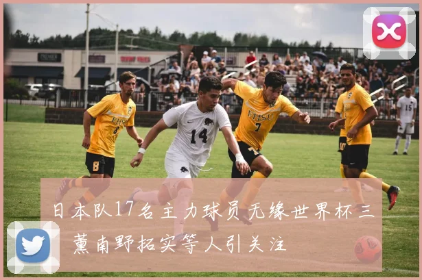 日本队17名主力球员无缘世界杯三笘薰南野拓实等人引关注