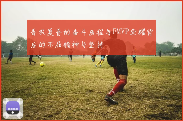 香农夏普的奋斗历程与FMVP荣耀背后的不屈精神与坚持