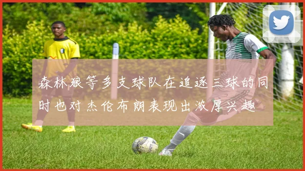 森林狼等多支球队在追逐三球的同时也对杰伦布朗表现出浓厚兴趣